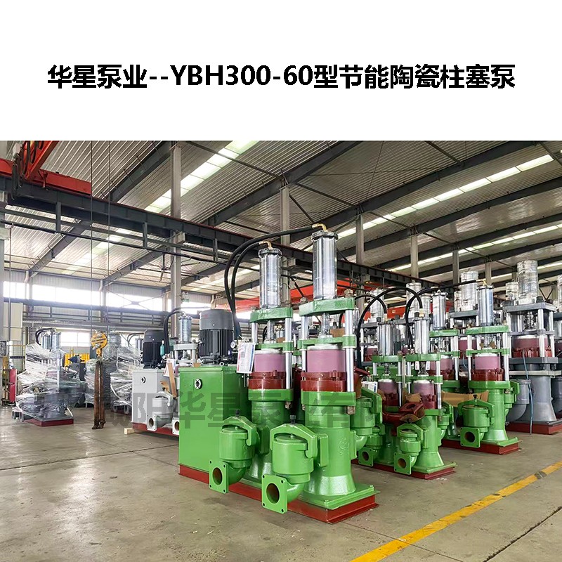 YBH300-60型節能陶瓷柱塞泵-02